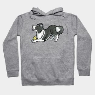 Border collie with tennis balls Hoodie